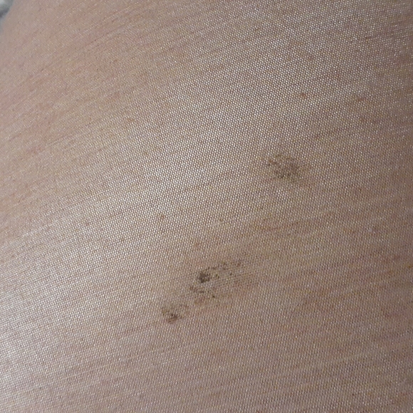 DWK wolf lamp - Picture 6 of 6